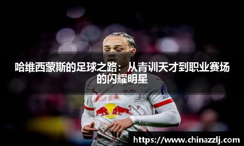 zoty中欧